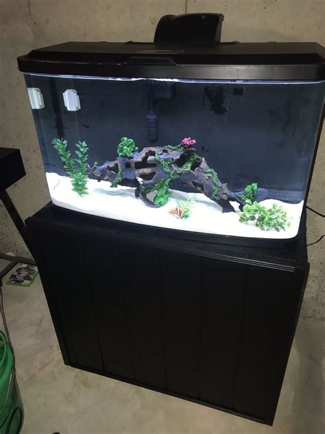 fluval vista 23